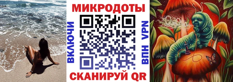 Купить где  Губкин  Псилоцибиновые грибы MAGIC MUSHROOMS 